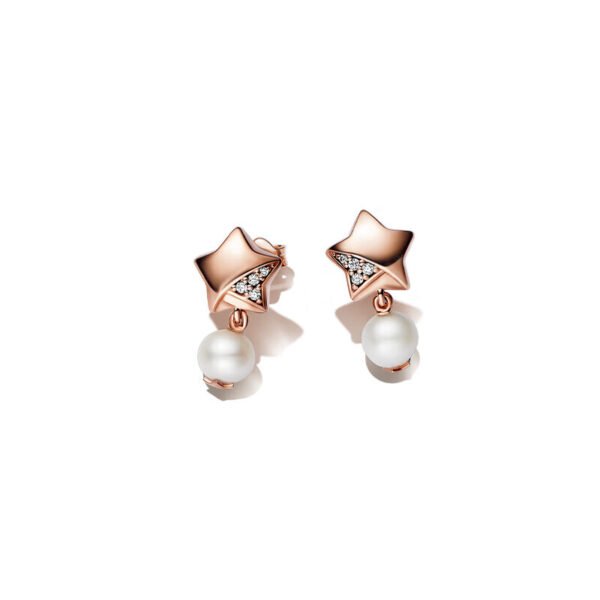 Lucky Star series one piece of precious star earrings rose gold star pearl design birthday gift for girlfriend